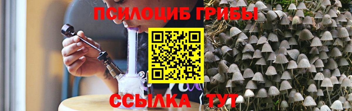 Галлюциногенные грибы ЛСД  Вход с VPN  как найти   Северобайкальск 